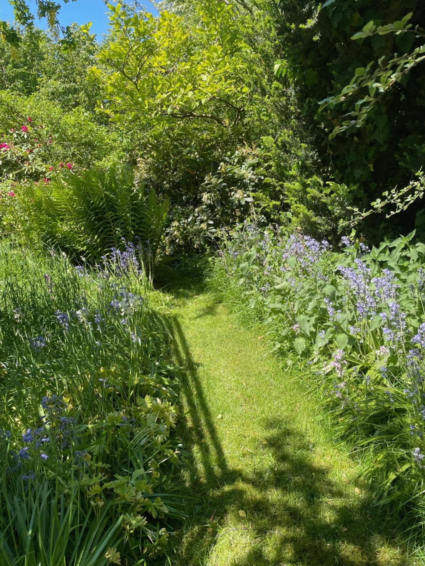 Trennegarden B&B Mjöhult 外观 照片